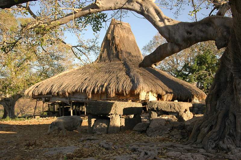 hidden-gem-honeymoon-islands