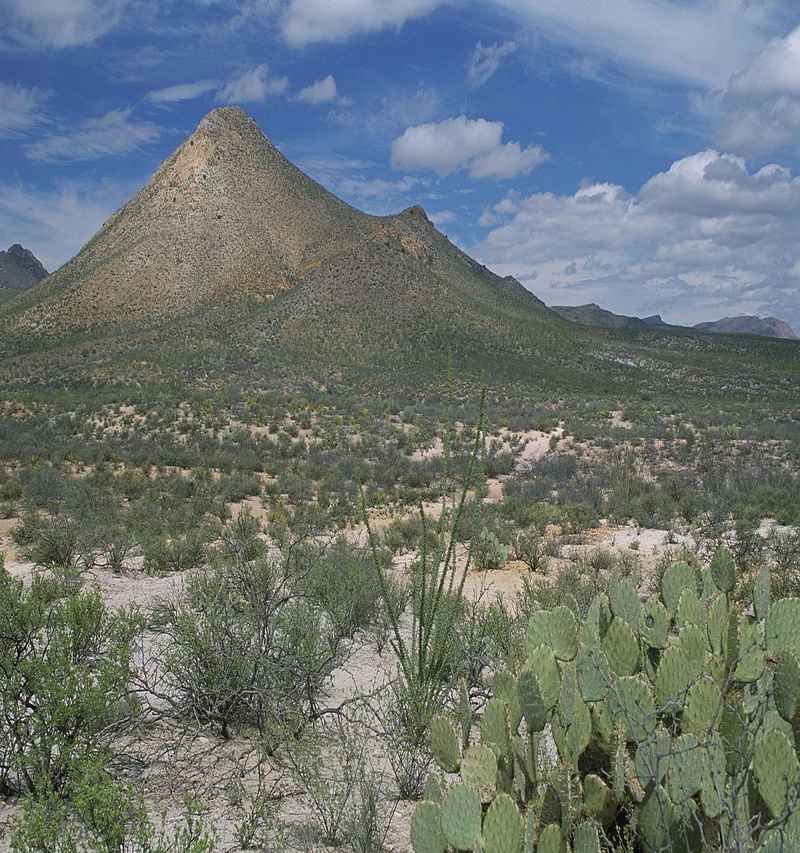 california national parks and wild places